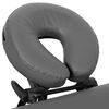 vidaXL Massage Table with 4 Zones Aluminium Frame Anthracite 186x68 cm