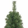 Product Thumbnail Image 4 of 7