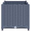 Product Thumbnail Image 4 of 9
