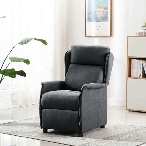 vidaXL Recliner Chair Dark Grey 66.5 x 94 x 101.5 cm Polyester