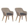 vidaXL Outdoor Chairs with Cushions 2 pcs Poly Rattan Brown