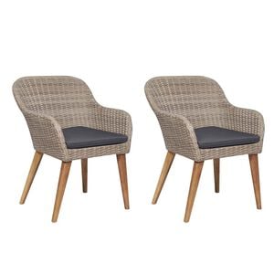 vidaXL Outdoor Chairs with Cushions 2 pcs Poly Rattan Brown