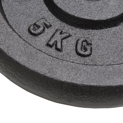 vidaXL Weight Plates 4 pcs 2x10 kg+2x5 kg Cast Iron