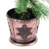 Product Thumbnail Image 6 of 7