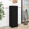 vidaXL Shoe Cabinet Black 30x35x100 cm Engineered Wood