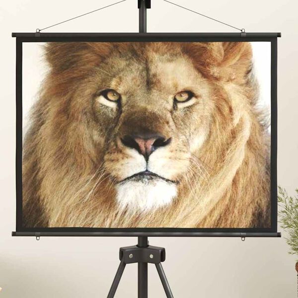 Showing Product Image 2 of 7