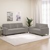 vidaXL 2 Piece Sofa Set with Throw Pillows&Cushions Light Grey Velvet