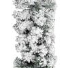 Product Thumbnail Image 4 of 6