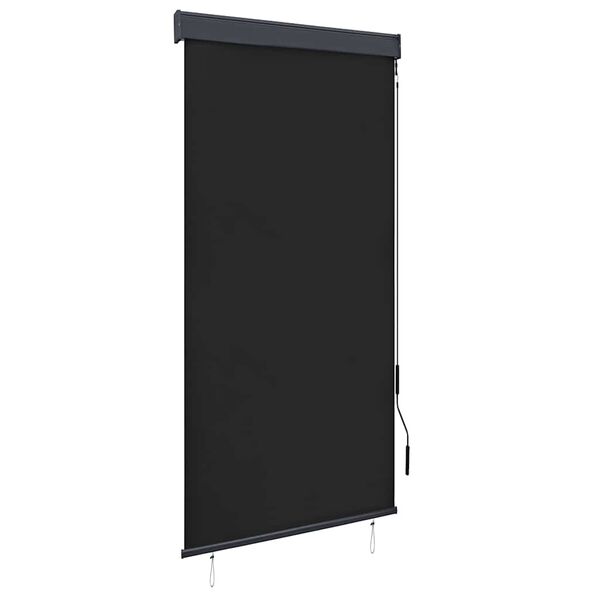 vidaXL Outdoor Roller Blind 100x250 cm Anthracite