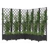 Product Thumbnail Image 7 of 8