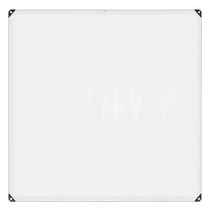 vidaXL Plant Cover Transparent 2 x 2 m PE