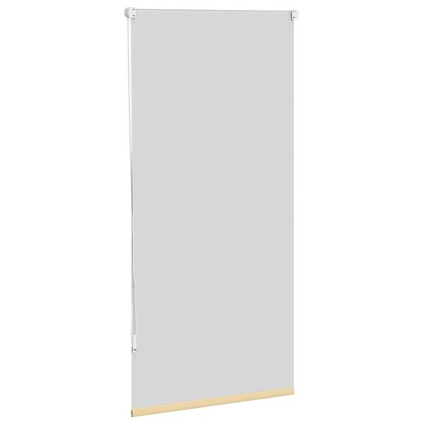 Roller Blind Blackout 60 x 120 cm Beige