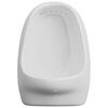 vidaXL Wall Hung Urinal with Flush Valve Ceramic White