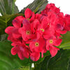 Product Thumbnail Image 2 of 3