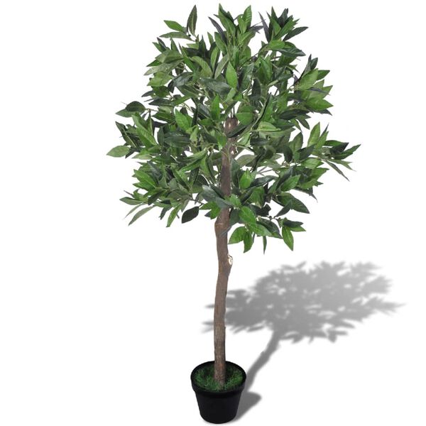 Showing Product Image 1 of 2