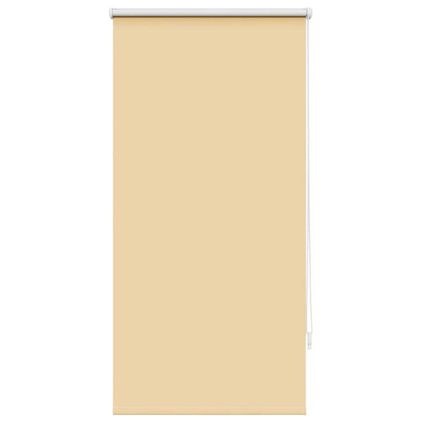 Roller Blind Blackout 60 x 120 cm Beige
