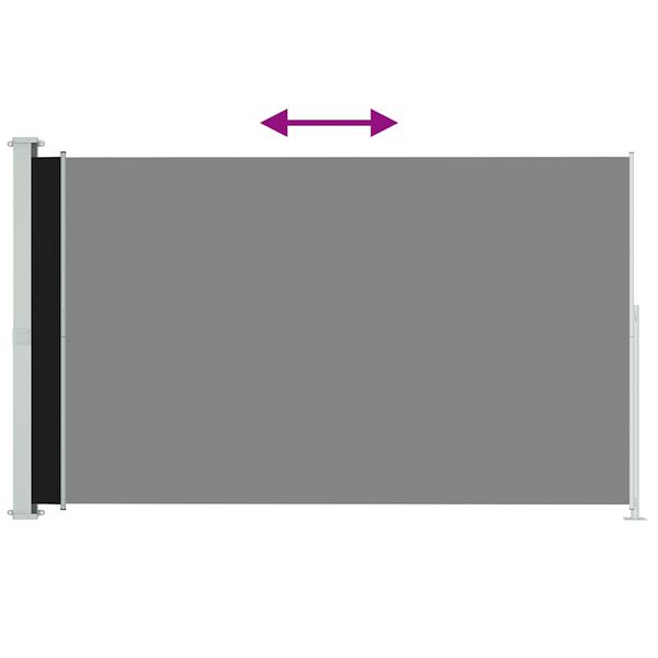 vidaXL Patio Retractable Side Awning 220x300 cm Black