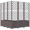 Product Thumbnail Image 6 of 8