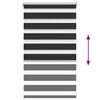 vidaXL Zebra Blind 50 x 100 cm Black