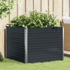 Product Thumbnail Image 2 of 13