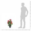 Product Thumbnail Image 3 of 3