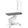 Hydraulic Bath Grooming Table for Dogs Cats Pets Adjustable