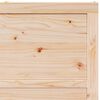vidaXL Barn Door Natural 80 x 208 cm Solid Pine wood