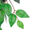 Product Thumbnail Image 2 of 2