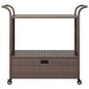 vidaXL Bar Cart with Drawer Brown 100x45x97 cm Poly Rattan