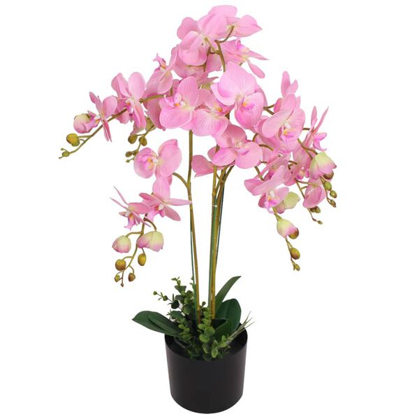 Showing Product Image 1 of 2