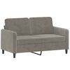 vidaXL 2 Piece Sofa Set with Throw Pillows&Cushions Light Grey Velvet