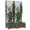 Product Thumbnail Image 3 of 8