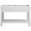 Product Thumbnail Image 3 of 7