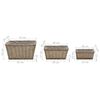 vidaXL Raised Bed 3 pcs Wicker with PE Lining