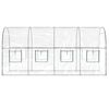 vidaXL Greenhouse Transparent 160x400x190 cm PVC&Powder-coated Steel