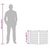 Product Thumbnail Image 12 of 13