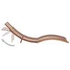 Product Thumbnail Image 4 of 12