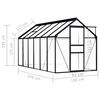 vidaXL Greenhouse Anthracite Aluminium 7.03 m&sup2;