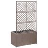 Product Thumbnail Image 3 of 7
