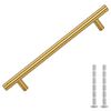 vidaXL Cabinet Handles 10 pcs Gold 160 mm Stainless Steel