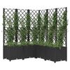 Product Thumbnail Image 7 of 8