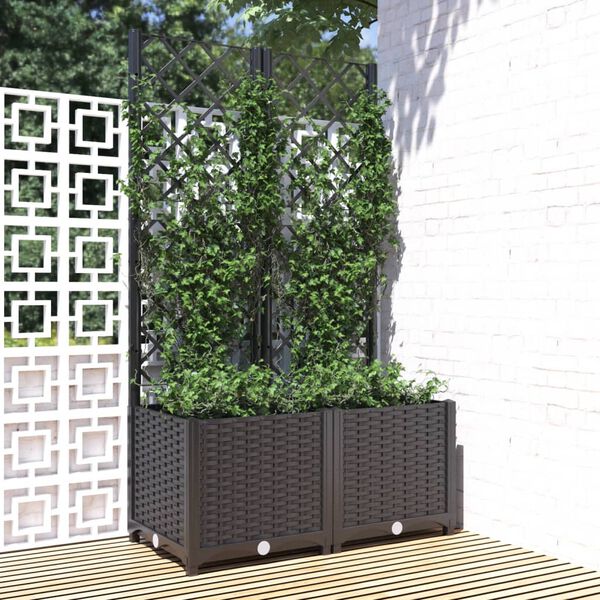 Showing Product Image 1 of 7