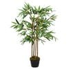 Product Thumbnail Image 2 of 5