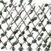 Product Thumbnail Image 2 of 7