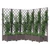 Product Thumbnail Image 7 of 8