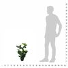 Product Thumbnail Image 3 of 3