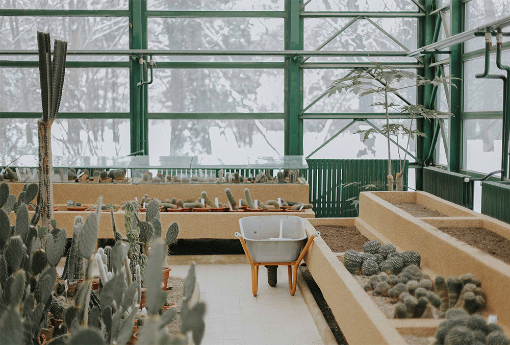 A big, indoor greenhouse garden with winter sceneries