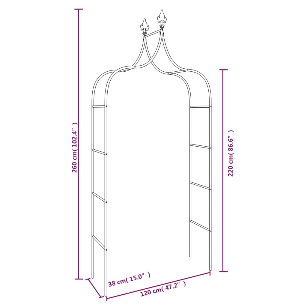 vidaXL Garden Arches 2 pcs Black 120x38x260 cm Steel